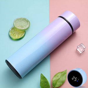 Digital Thermos Water Cup